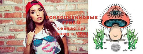 меф Бородино