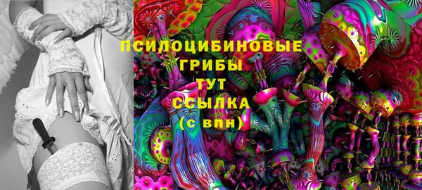 дмт Бугульма
