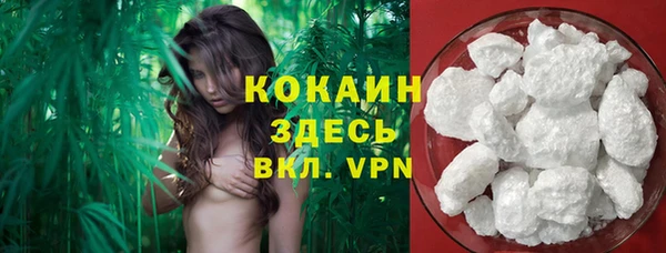 меф Бородино